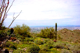 from South Mountain