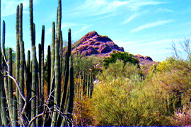 Papago Peak