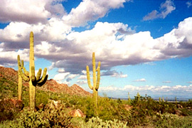 White Tank Mountains