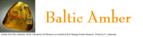 Baltic amber